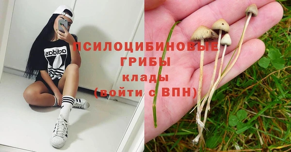 мяу мяу кристалл Няндома