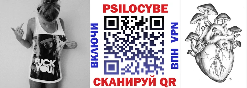 мега как войти Лосино-Петровский Галлюциногенные грибы Psilocybe